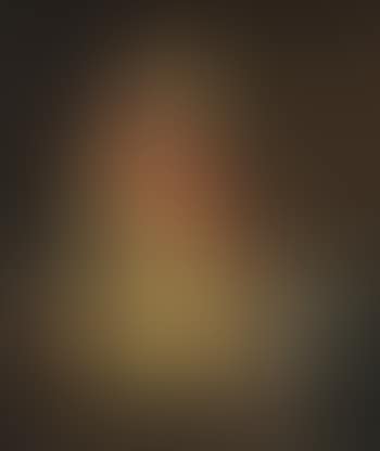 Portret van een Spaanse officier (preview)