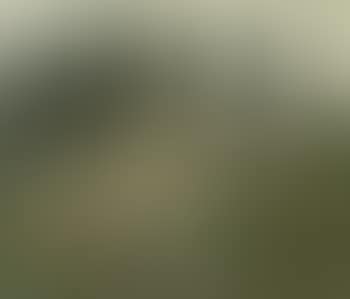 Landschap met hoeve (preview)