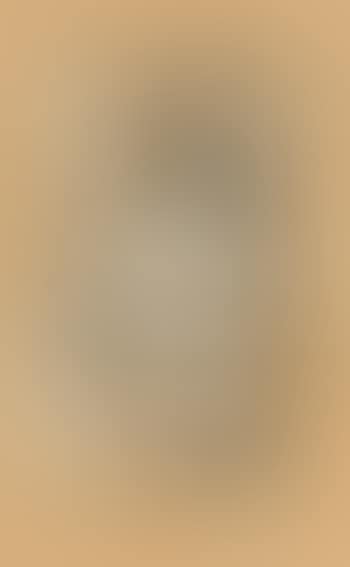 Compositie (preview)