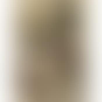 Seated Nude Wearing a Green Headscarf and Standing Female Nude from Behind: A double-sided work (preview)