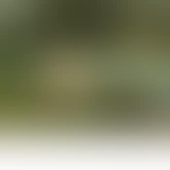 By The River (preview)