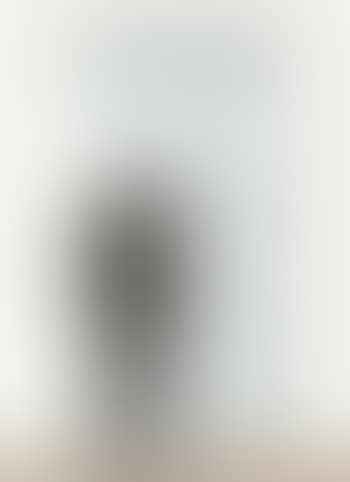 Pittore (preview)