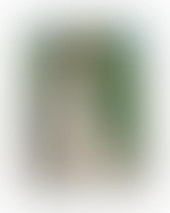 Curve (preview)