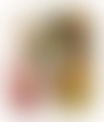 Orangenesser (Orange Eater) (preview)