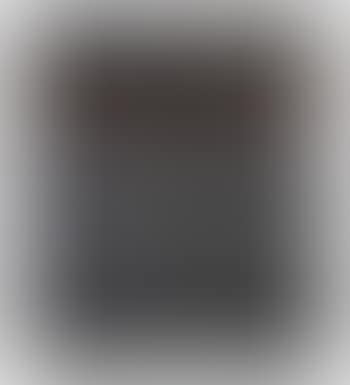 SP190 (preview)