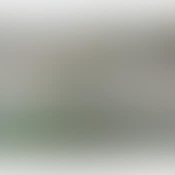Al pascolo (preview)