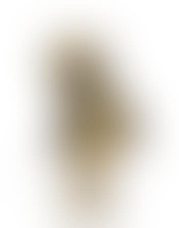 Dodo (preview)
