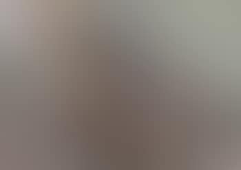 Nature morte (preview)
