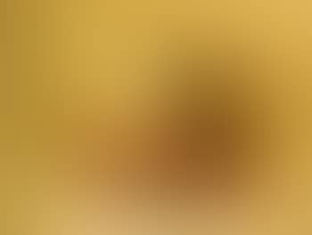 Nature morte (preview)