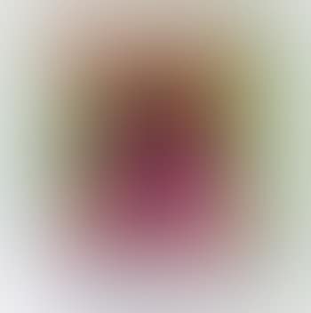 Agamographe, Visual story (preview)