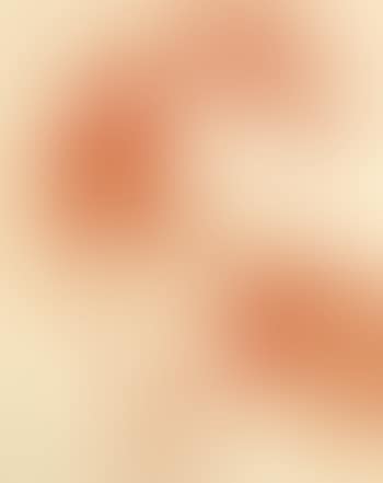 Merz 3: Plate 2 (preview)