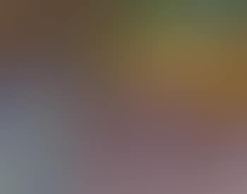 Paysage (preview)