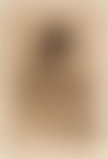 Self-Portrait in a Fur Coat (preview)