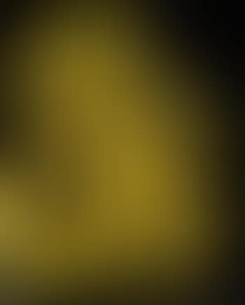 Adler (vor Gelb) (preview)