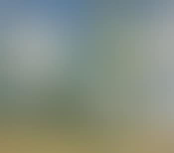 Nassau, Bahamas Landscape (preview)