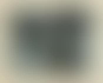 Holzsammler (preview)