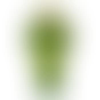 Tel El Amarna vase (preview)