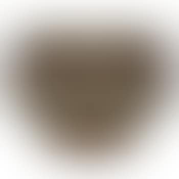 Bowl (preview)