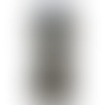 Two-handled vase (preview)