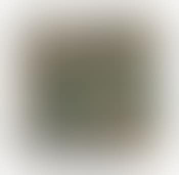 Waste Ground, Paddington (preview)