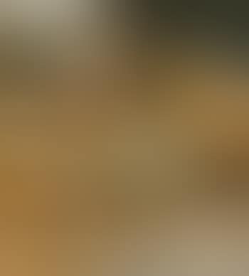 Untitled (Landscape) (preview)