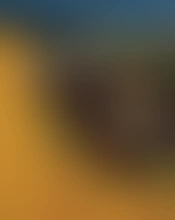 Terre jaune (preview)