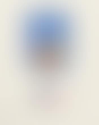 USA United Nations Unicef Stamp (preview)