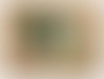 Landscape with Sheep (preview)