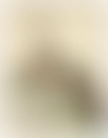 Portrait de Madame Paravicini (preview)