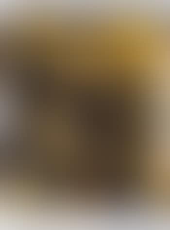 Sunflower (preview)