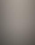 Packed Kunsthalle Bern (preview)