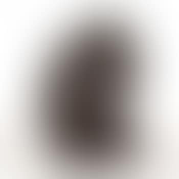 Autoportrait (preview)