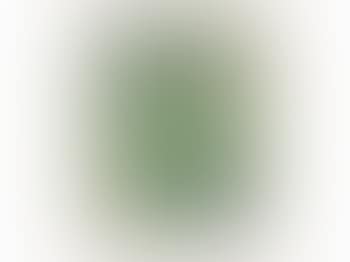 L'oiseau Vert (preview)