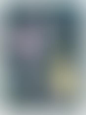 Untitled (preview)