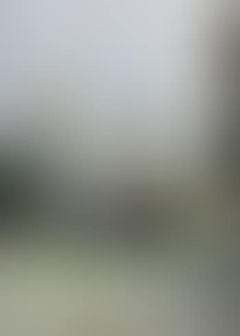View of Notre Dame, Paris, France (preview)