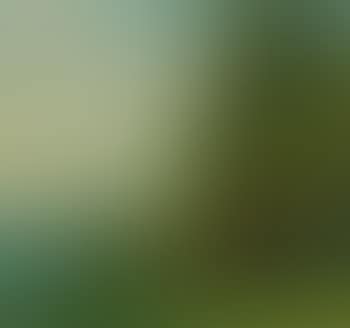 Landscape with Trees and Lake (preview)