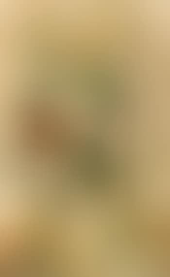 Vase De Fleurs (Vase of Flowers) (preview)