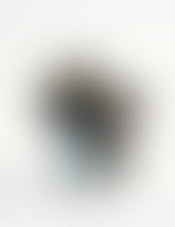 Present Absence (preview)