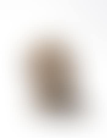 Untitled (Head with Glass Eyes and Tin Teeth) (preview)
