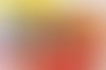8.12.85 (preview)