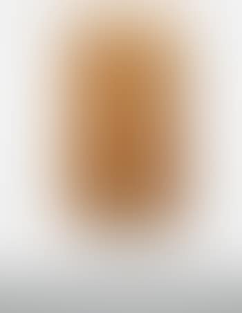 Toro #6 (preview)