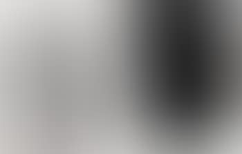 Two works: (i) Untitled (JS06312); (ii) Untitled (JS06305) (preview)