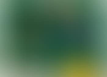 Study for Sochi (preview)