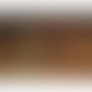 Forrest Landscape (preview)