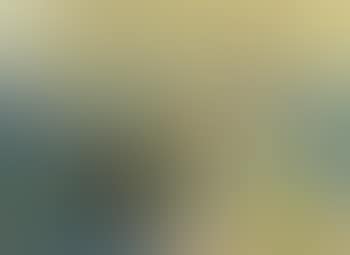 Composition au coquillage et citrons (preview)