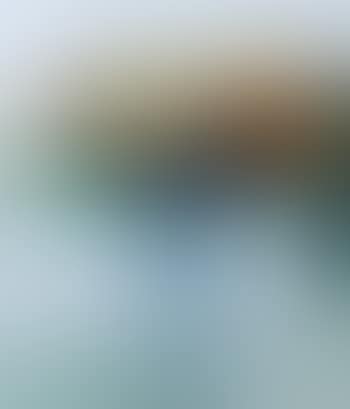 Rosen (preview)