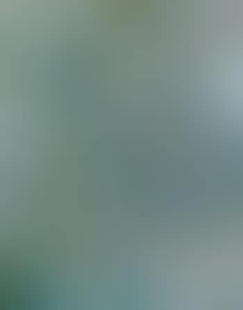Composition (preview)