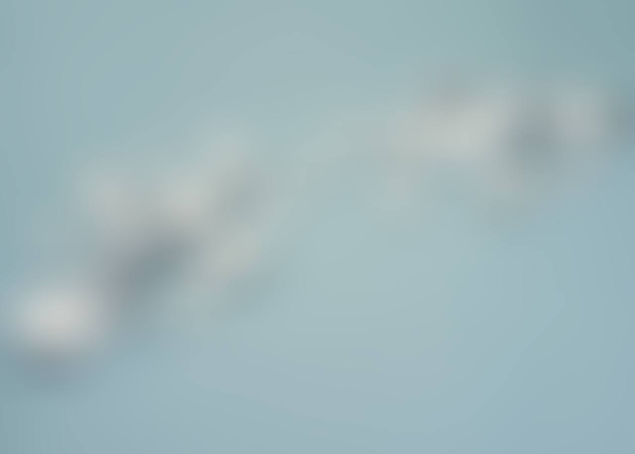 CLONEDDD MORPHOLOGY (preview)