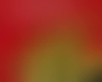 Great Criticism Series: Swatch (preview)
