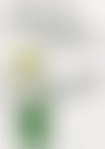 Untitled (Who snatched the Babies) (preview)